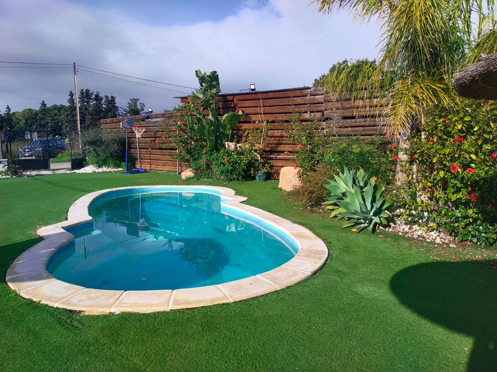 Piscina di Luxury Garden con bordo in pietra e agave
