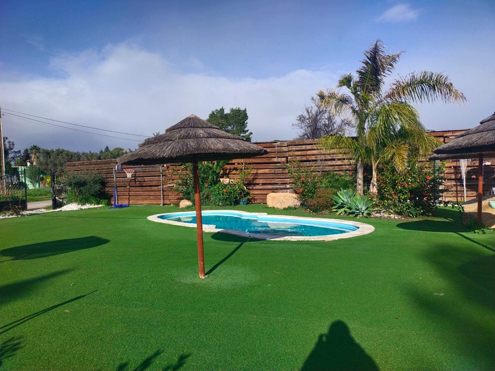 La piscina con l'ombrellone in paglia e le palme